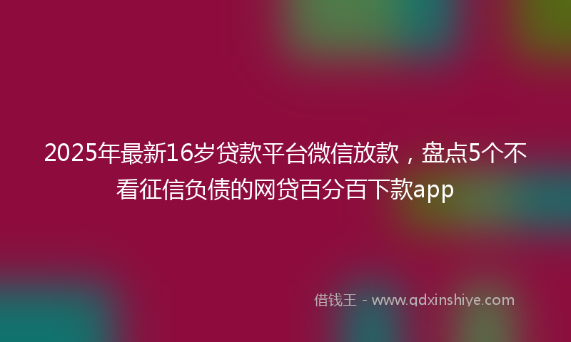 2025年最新16岁贷款平台微信放款，盘点5个不看征信负债的网贷百分百下款app