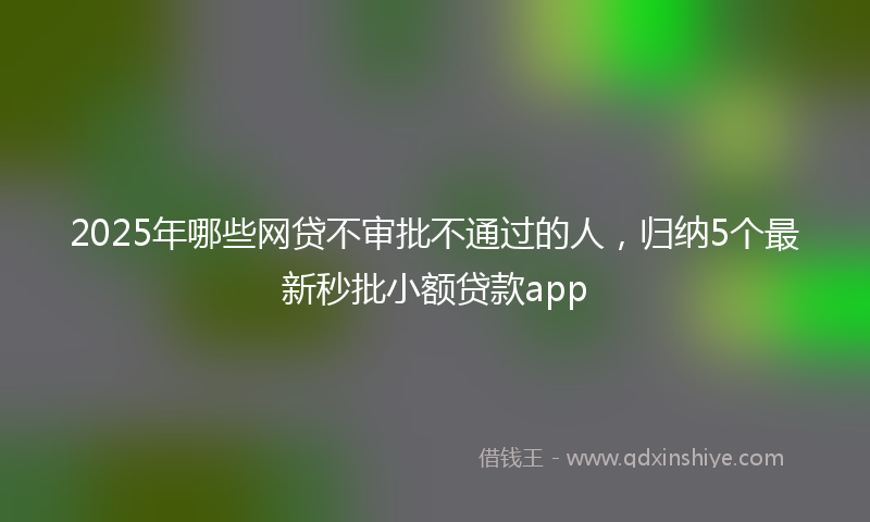 2025年哪些网贷不审批不通过的人，归纳5个最新秒批小额贷款app