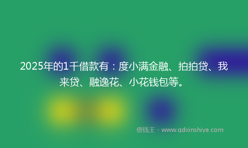 2025年的1千借款有：度小满金融、拍拍贷、我来贷、融逸花、小花钱包等。