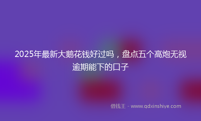 2025年最新大鹅花钱好过吗，盘点五个高炮无视逾期能下的口子