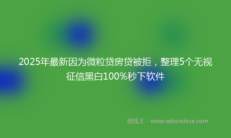 2025年最新因为微粒贷房贷被拒，整理5个无视征信黑白100%秒下软件