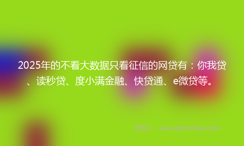 2025年的不看大数据只看征信的网贷有：你我贷、读秒贷、度小满金融、快贷通、e微贷等。