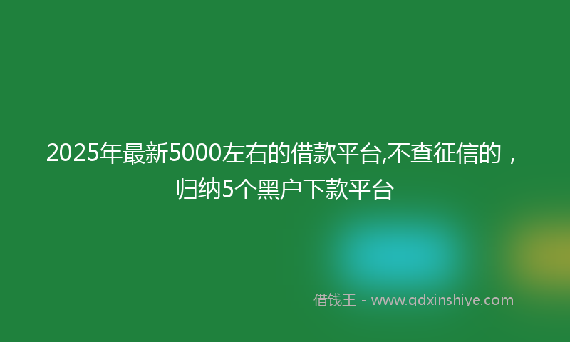 2025年最新5000左右的借款平台,不查征信的，归纳5个黑户下款平台