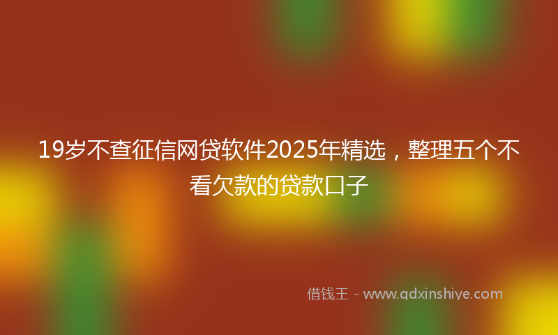 19岁不查征信网贷软件2025年精选，整理五个不看欠款的贷款口子