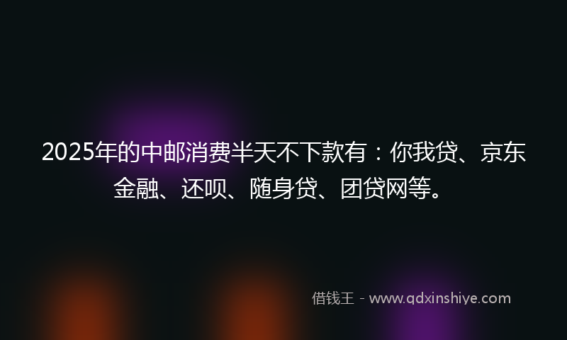 2025年的中邮消费半天不下款有：你我贷、京东金融、还呗、随身贷、团贷网等。