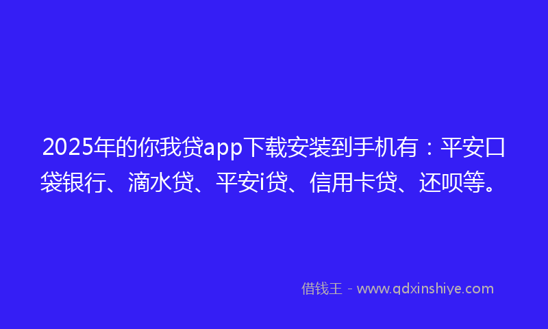 2025年的你我贷app下载安装到手机有：平安口袋银行、滴水贷、平安i贷、信用卡贷、还呗等。