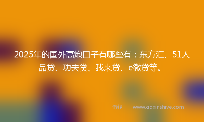 2025年的国外高炮口子有哪些有：东方汇、51人品贷、功夫贷、我来贷、e微贷等。
