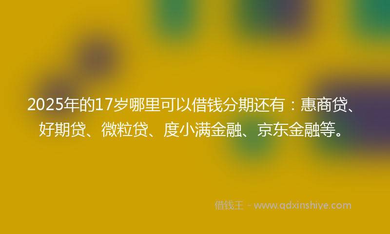 2025年的17岁哪里可以借钱分期还有：惠商贷、好期贷、微粒贷、度小满金融、京东金融等。