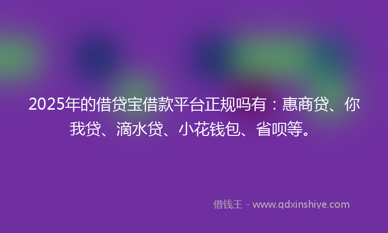 2025年的借贷宝借款平台正规吗有：惠商贷、你我贷、滴水贷、小花钱包、省呗等。