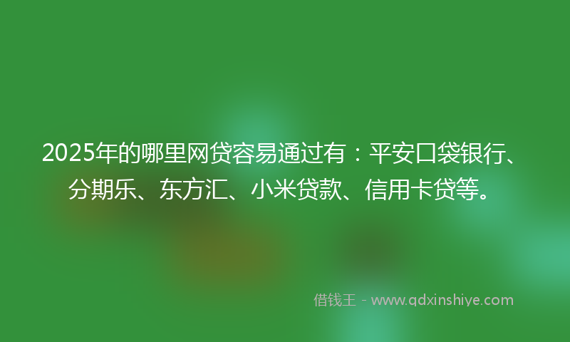 2025年的哪里网贷容易通过有：平安口袋银行、分期乐、东方汇、小米贷款、信用卡贷等。