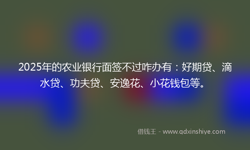 2025年的农业银行面签不过咋办有：好期贷、滴水贷、功夫贷、安逸花、小花钱包等。