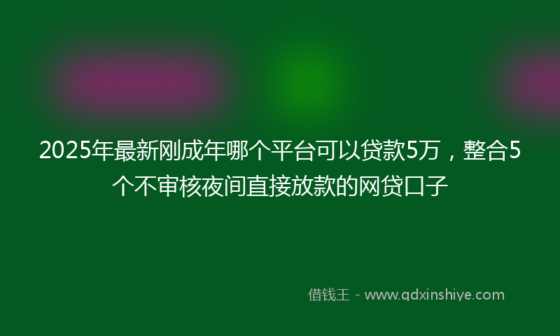 2025年最新刚成年哪个平台可以贷款5万，整合5个不审核夜间直接放款的网贷口子
