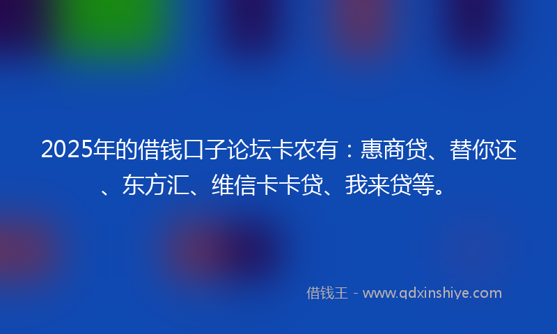 2025年的借钱口子论坛卡农有：惠商贷、替你还、东方汇、维信卡卡贷、我来贷等。