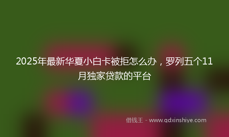 2025年最新华夏小白卡被拒怎么办，罗列五个11月独家贷款的平台