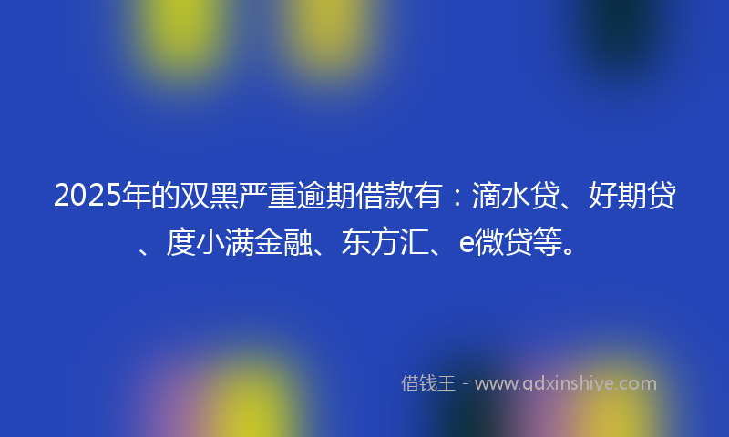 2025年的双黑严重逾期借款有：滴水贷、好期贷、度小满金融、东方汇、e微贷等。
