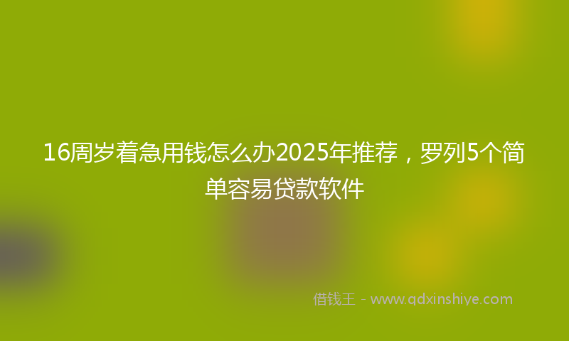 16周岁着急用钱怎么办2025年推荐，罗列5个简单容易贷款软件