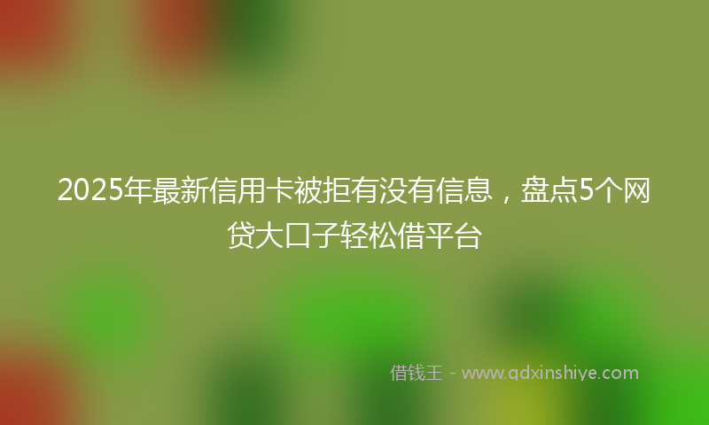 2025年最新信用卡被拒有没有信息，盘点5个网贷大口子轻松借平台