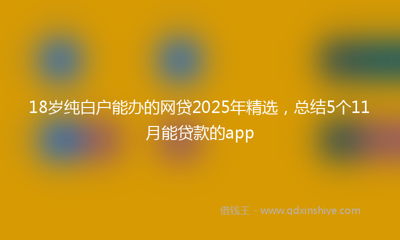 18岁纯白户能办的网贷2025年精选，总结5个11月能贷款的app