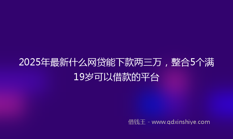 2025年最新什么网贷能下款两三万，整合5个满19岁可以借款的平台
