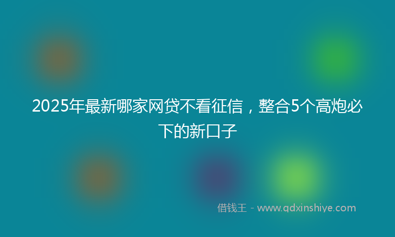 2025年最新哪家网贷不看征信，整合5个高炮必下的新口子