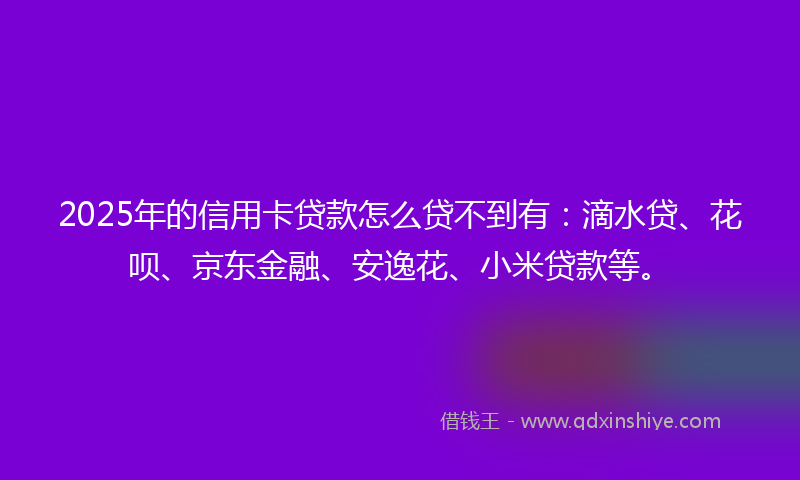 2025年的信用卡贷款怎么贷不到有：滴水贷、花呗、京东金融、安逸花、小米贷款等。