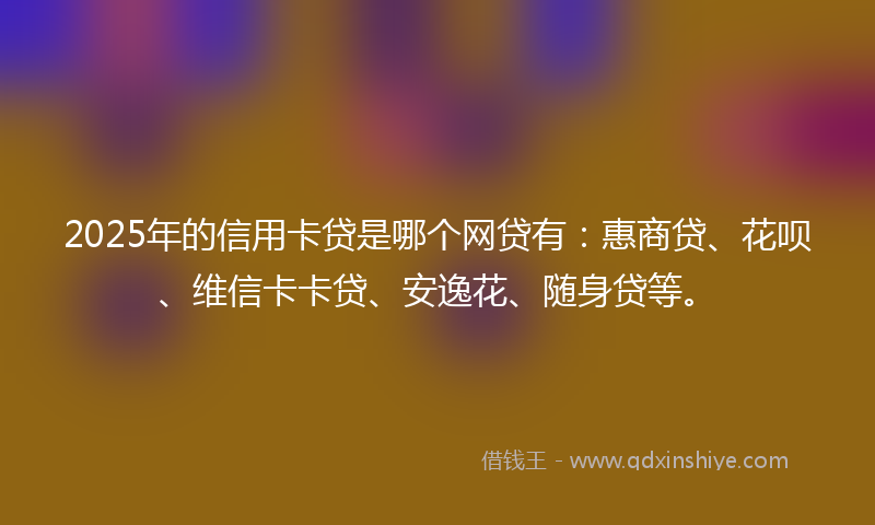 2025年的信用卡贷是哪个网贷有：惠商贷、花呗、维信卡卡贷、安逸花、随身贷等。
