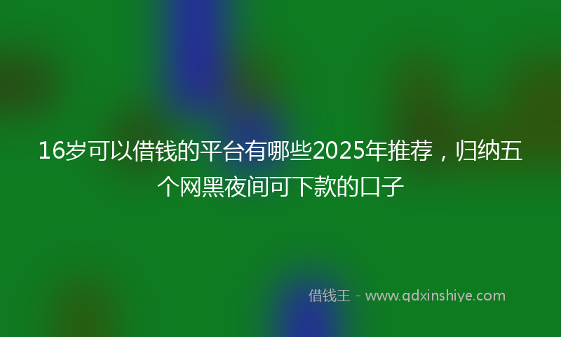 16岁可以借钱的平台有哪些2025年推荐，归纳五个网黑夜间可下款的口子