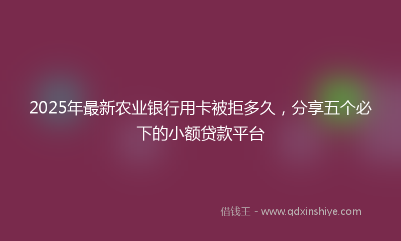 2025年最新农业银行用卡被拒多久，分享五个必下的小额贷款平台