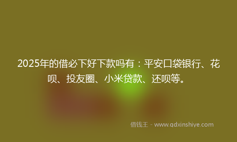 2025年的借必下好下款吗有：平安口袋银行、花呗、投友圈、小米贷款、还呗等。