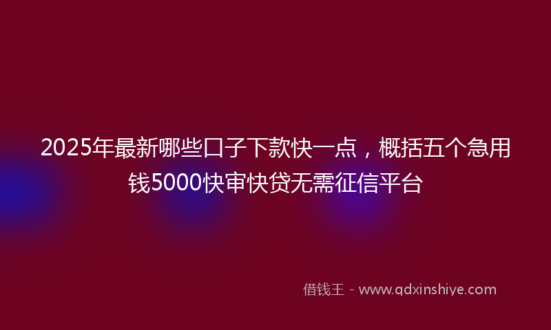 2025年最新哪些口子下款快一点，概括五个急用钱5000快审快贷无需征信平台
