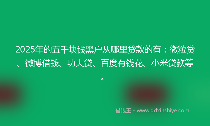 2025年的五千块钱黑户从哪里贷款的有：微粒贷、微博借钱、功夫贷、百度有钱花、小米贷款等。