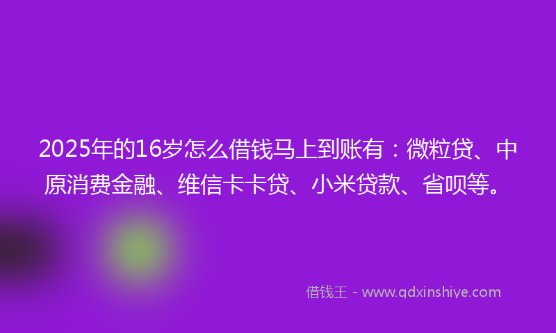 2025年的16岁怎么借钱马上到账有：微粒贷、中原消费金融、维信卡卡贷、小米贷款、省呗等。