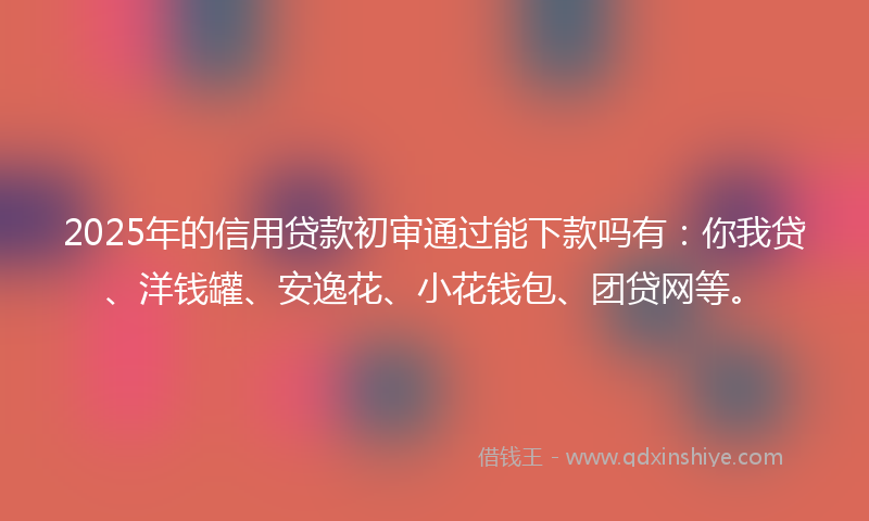 2025年的信用贷款初审通过能下款吗有：你我贷、洋钱罐、安逸花、小花钱包、团贷网等。