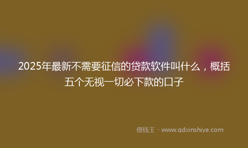 2025年最新不需要征信的贷款软件叫什么，概括五个无视一切必下款的口子