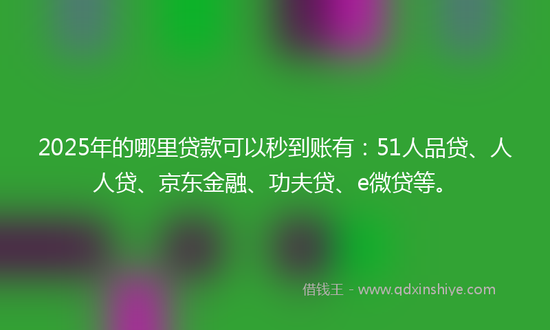 2025年的哪里贷款可以秒到账有：51人品贷、人人贷、京东金融、功夫贷、e微贷等。