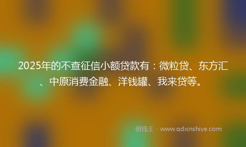 2025年的不查征信小额贷款有：微粒贷、东方汇、中原消费金融、洋钱罐、我来贷等。