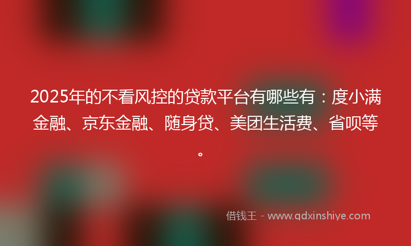 2025年的不看风控的贷款平台有哪些有：度小满金融、京东金融、随身贷、美团生活费、省呗等。