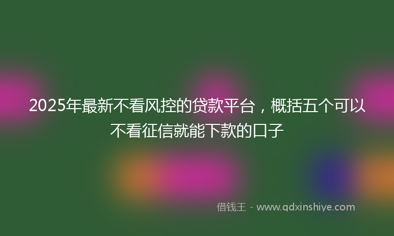 2025年最新不看风控的贷款平台，概括五个可以不看征信就能下款的口子