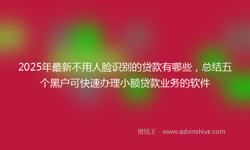 2025年最新不用人脸识别的贷款有哪些，总结五个黑户可快速办理小额贷款业务的软件