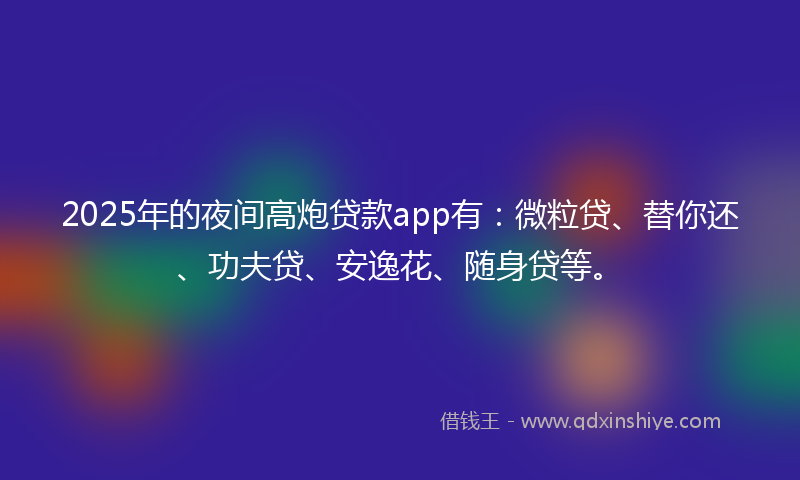 2025年的夜间高炮贷款app有：微粒贷、替你还、功夫贷、安逸花、随身贷等。