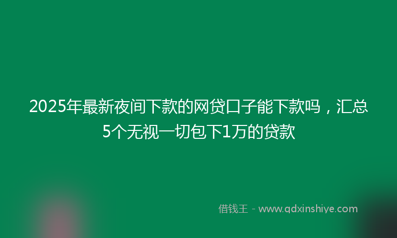 2025年最新夜间下款的网贷口子能下款吗，汇总5个无视一切包下1万的贷款