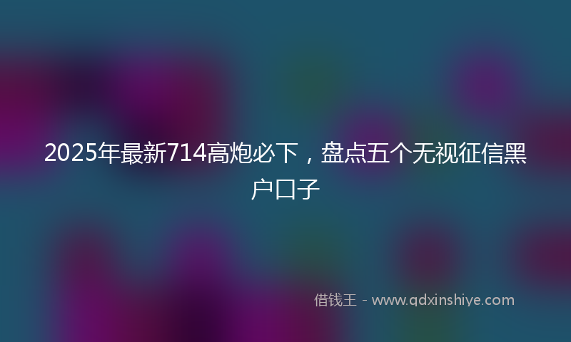 2025年最新714高炮必下，盘点五个无视征信黑户口子