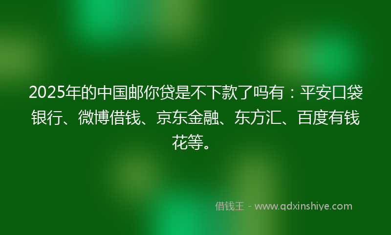 2025年的中国邮你贷是不下款了吗有：平安口袋银行、微博借钱、京东金融、东方汇、百度有钱花等。