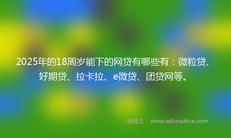2025年的18周岁能下的网贷有哪些有：微粒贷、好期贷、拉卡拉、e微贷、团贷网等。