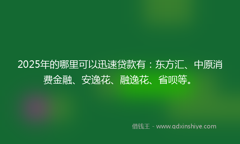 2025年的哪里可以迅速贷款有：东方汇、中原消费金融、安逸花、融逸花、省呗等。