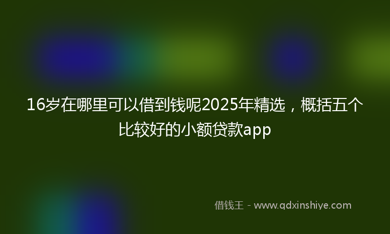 16岁在哪里可以借到钱呢2025年精选，概括五个比较好的小额贷款app