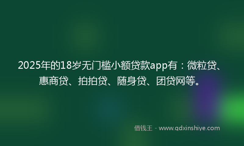 2025年的18岁无门槛小额贷款app有：微粒贷、惠商贷、拍拍贷、随身贷、团贷网等。