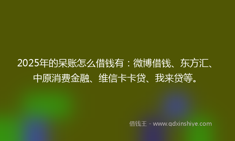 2025年的呆账怎么借钱有：微博借钱、东方汇、中原消费金融、维信卡卡贷、我来贷等。