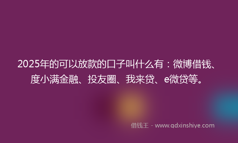 2025年的可以放款的口子叫什么有：微博借钱、度小满金融、投友圈、我来贷、e微贷等。