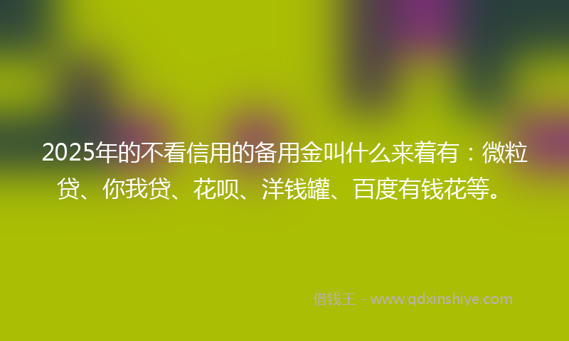 2025年的不看信用的备用金叫什么来着有：微粒贷、你我贷、花呗、洋钱罐、百度有钱花等。